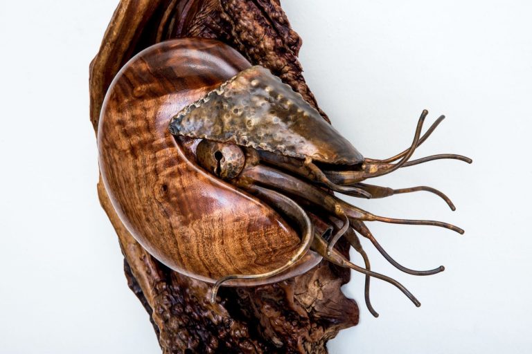 wood and bronze nautilus laguna beach