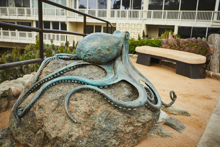 bronze octopus heisler park laguna beach