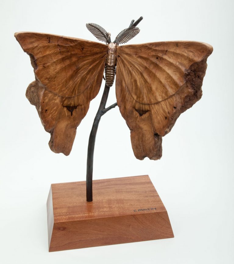 wood moth sculpture laguna beach