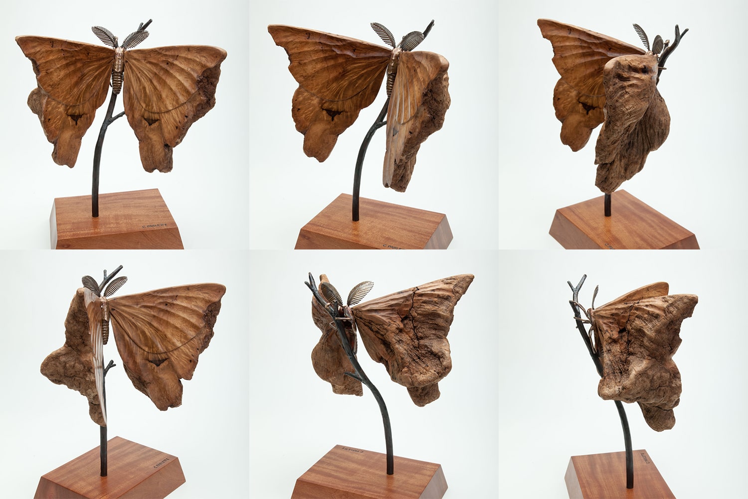 wood moth sculpture laguna beach