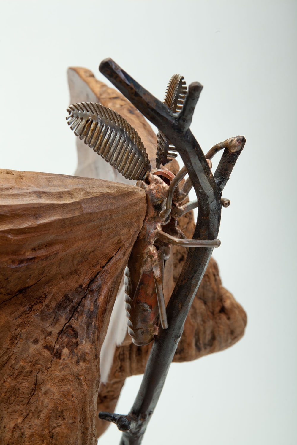 wood moth sculpture laguna beach