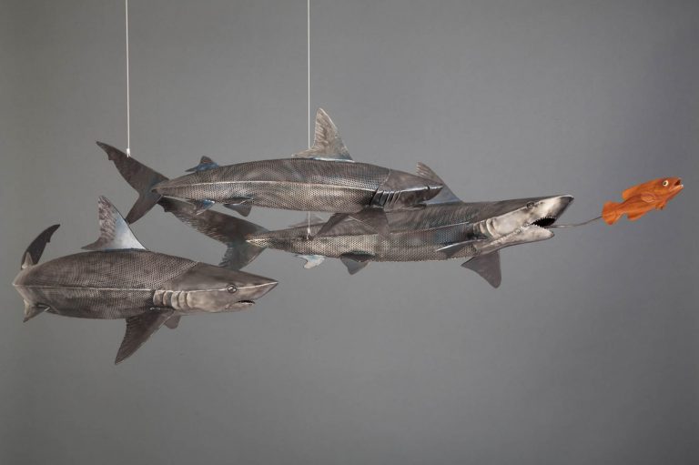 stainless steel shark laguna beach