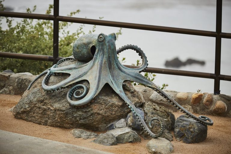 bronze octopus sculpture heisler park laguna beach