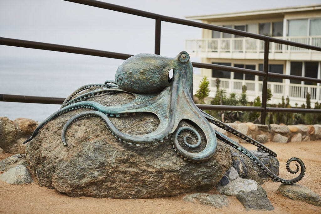 bronze octopus sculpture heisler park laguna beach