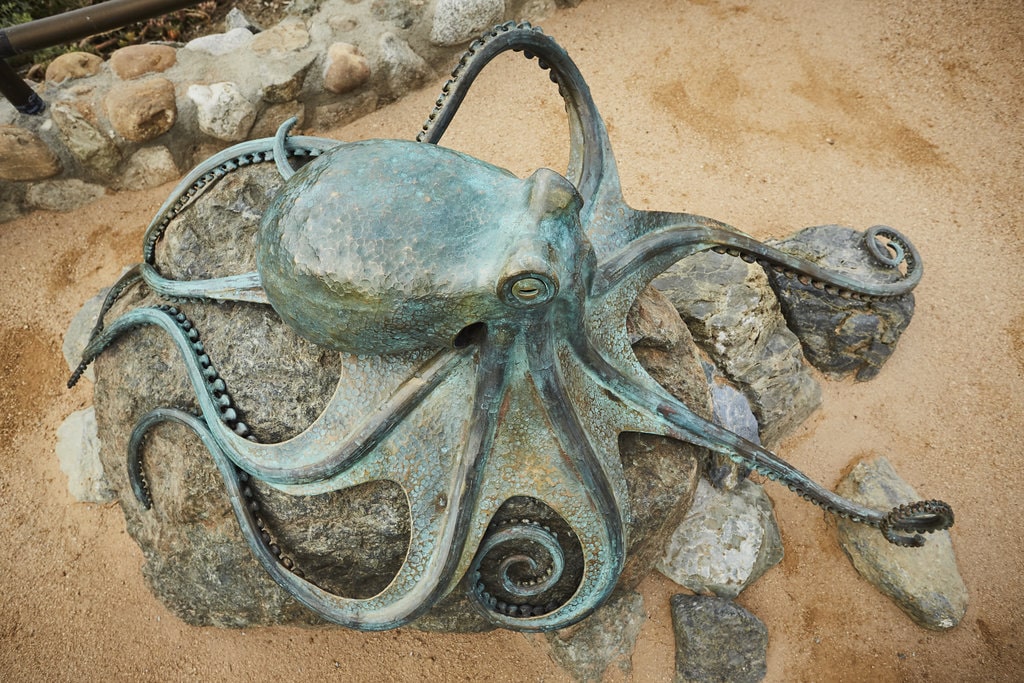 bronze octopus sculpture heisler park laguna beach