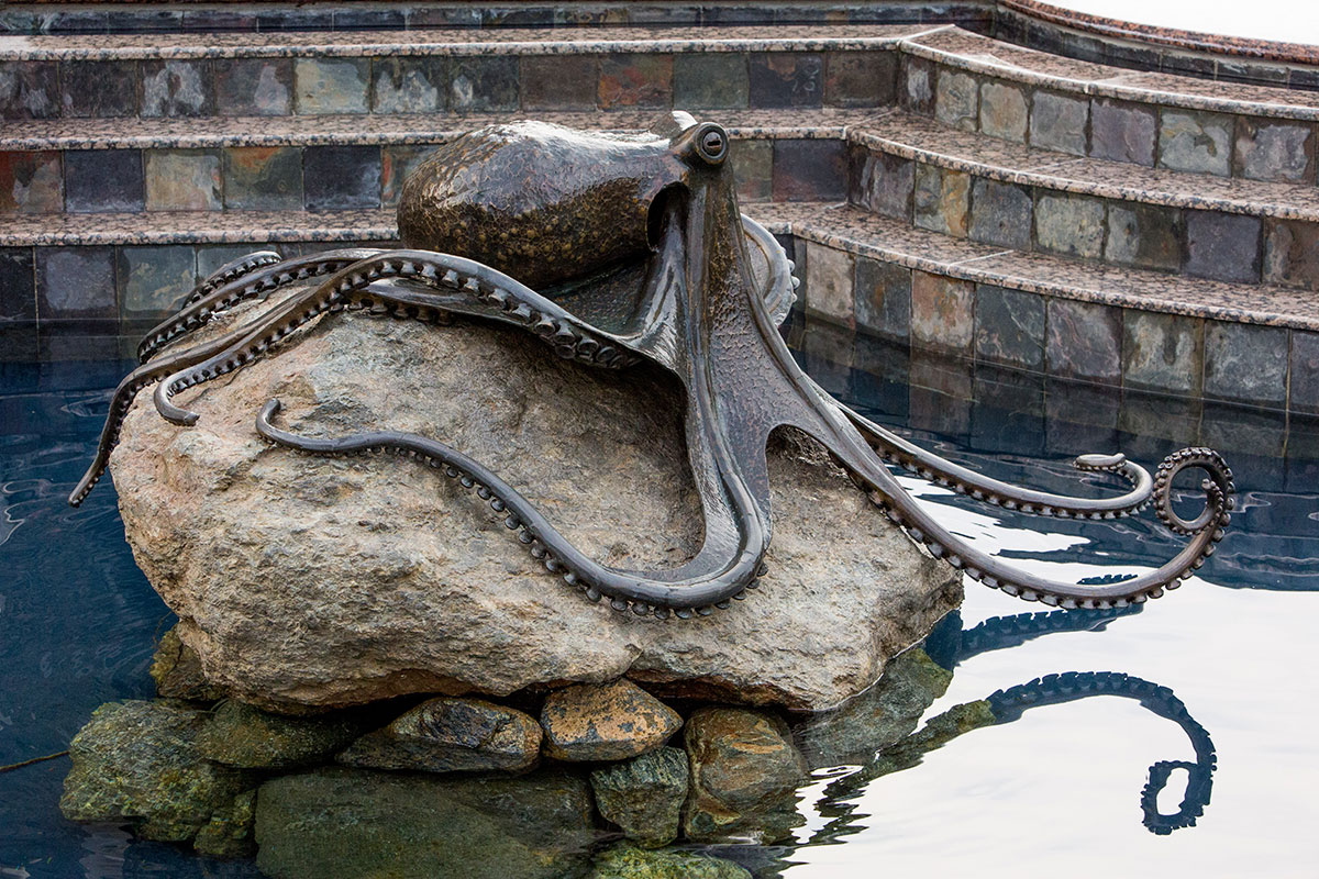 bronze octopus sculpture laguna beach