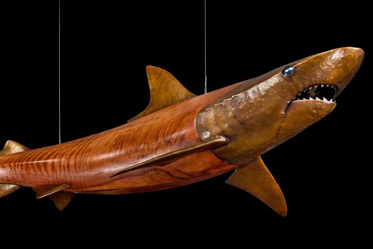 wood and bronze shark laguna beach