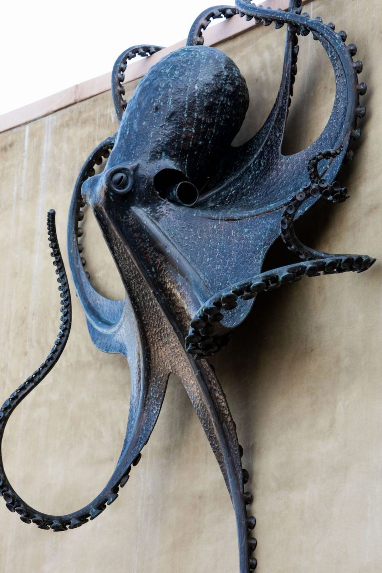 bronze octopus sculpture laguna beach