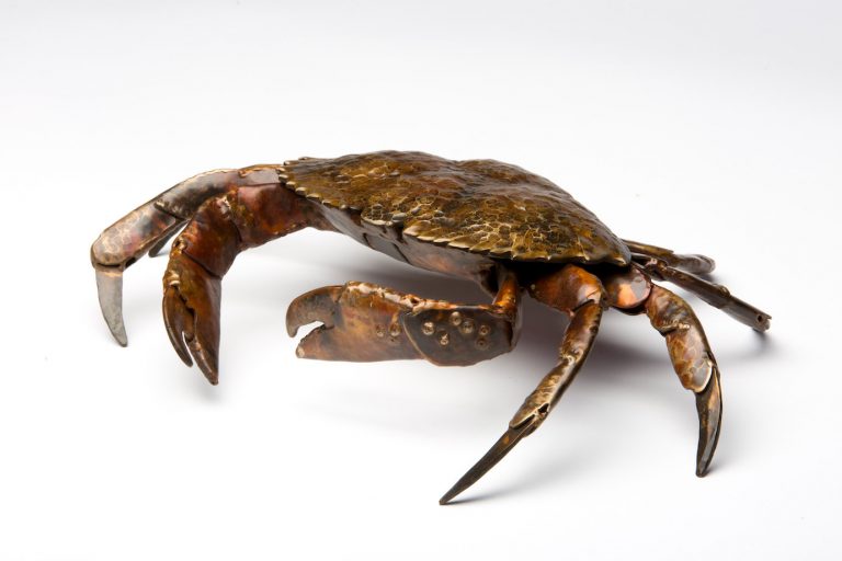 bronze crab laguna beach