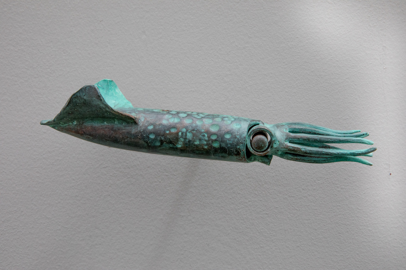 bronze squid