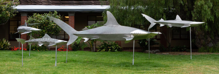 Stainless Steel Sharks Laguna Beach