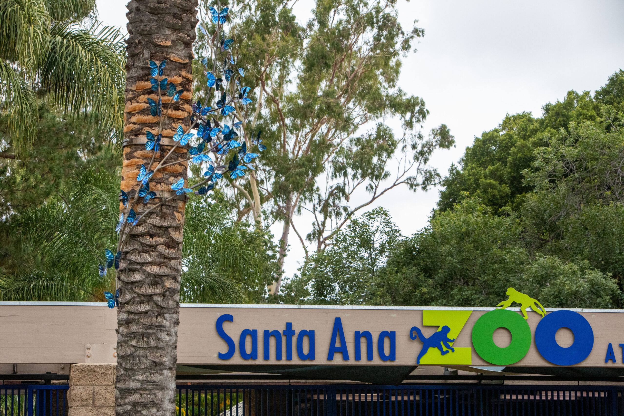 Blue titanium butterfly sculpture at the Santa Ana Zoo