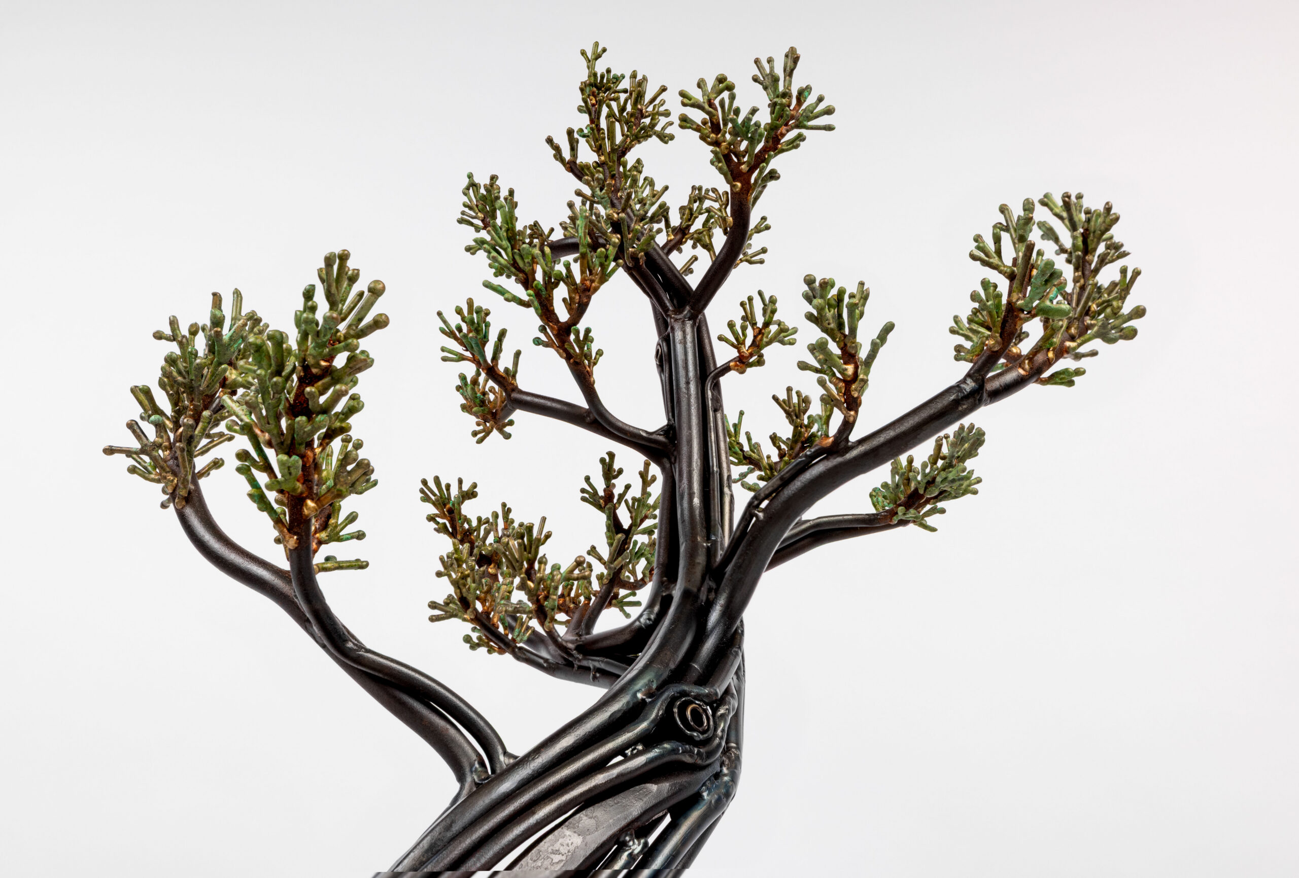 Bonsai Tree wood and bronze sculpture