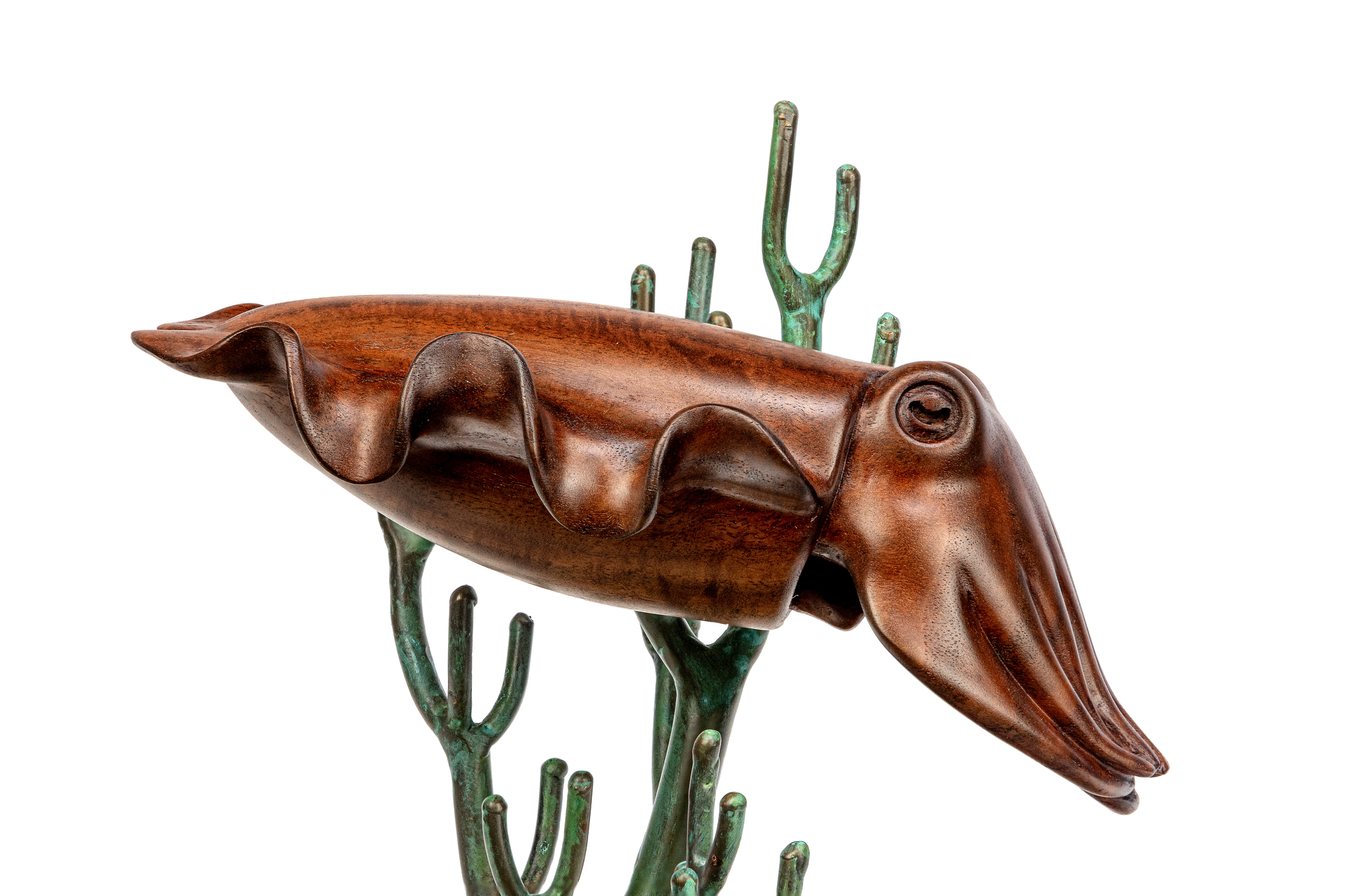 Nautilus wooden sculpture